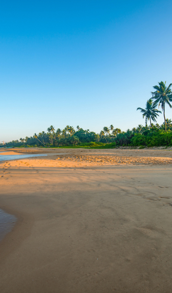 Желтый песок на тропическом пляже на рассвете 