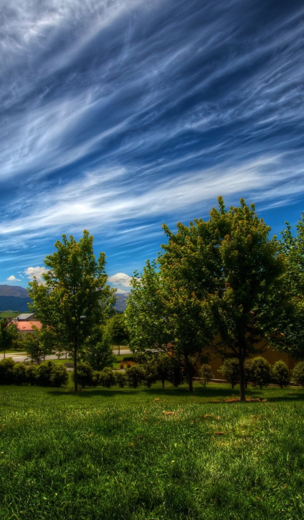 Красивое небо с облаками над деревьями