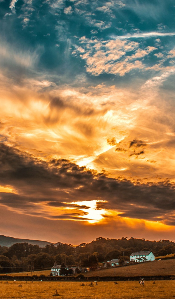 Красивое небо с облаками на рассвете над фермой