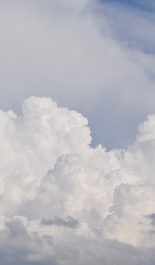 Густые белые облака в небе 