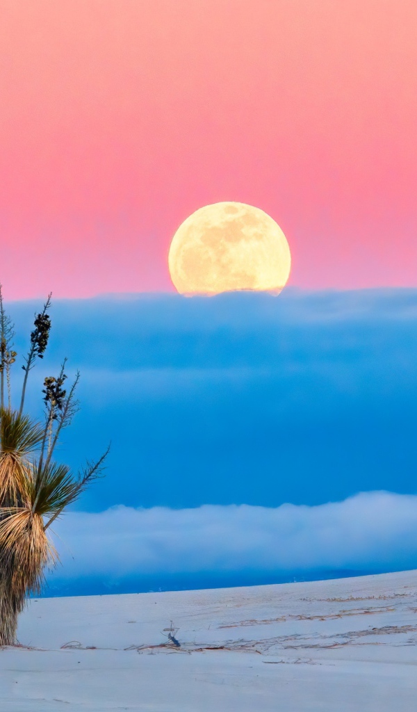 Большая желтая луна в розовом небе с облаками над пустыней 