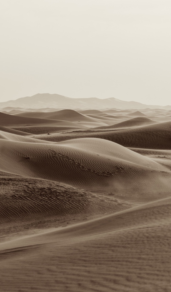 Бескрайние пески пустыни 