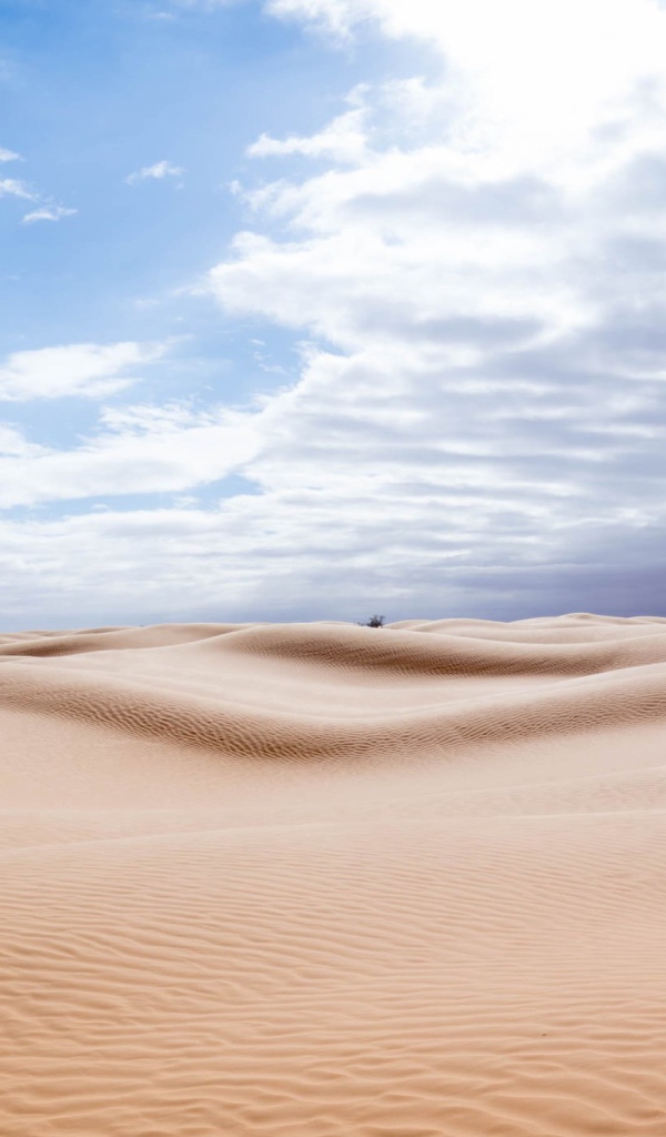 Горячий песок пустыни под солнечным небом 