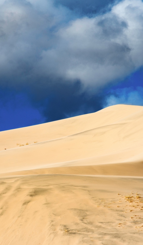 Песчаный бархан под голубым небом