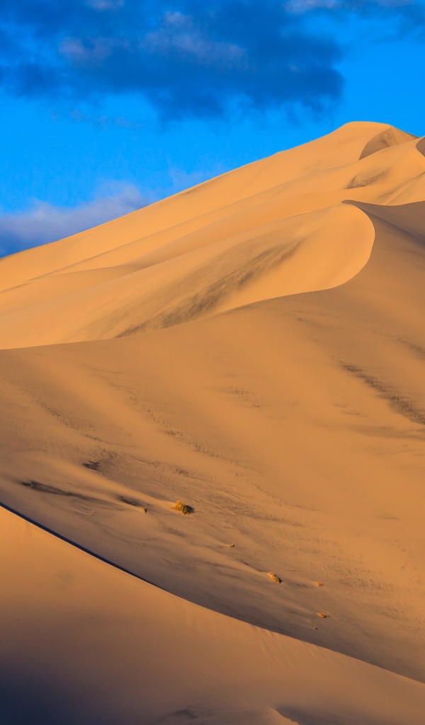 Песчаные дюны под голубым небом 