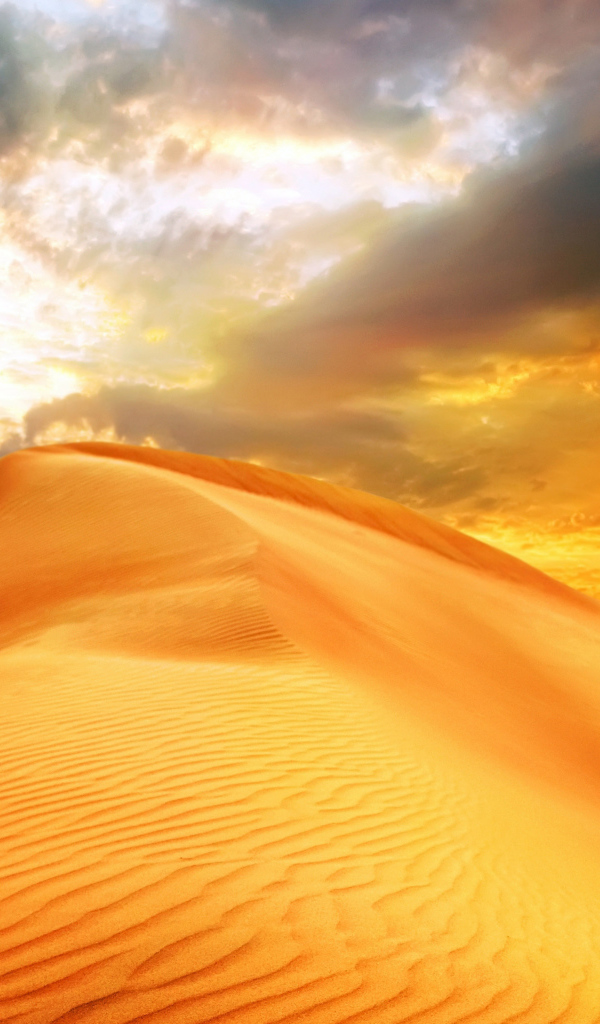 Закат солнце над барханом в пустыне 