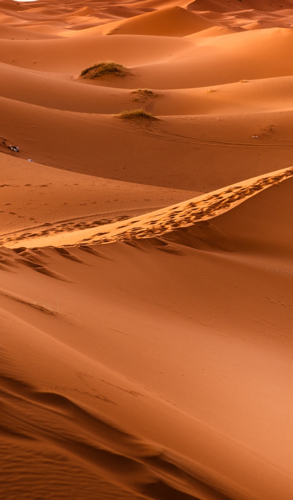 Бескрайние просторы горячей пустыни Сахара 