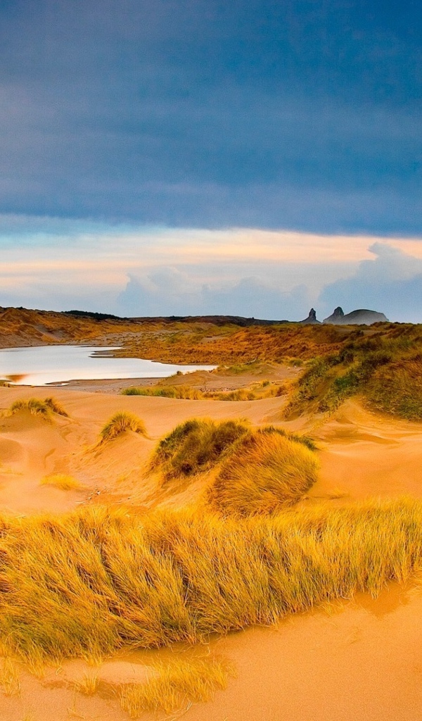 Мокрый песок с травой в пустыне