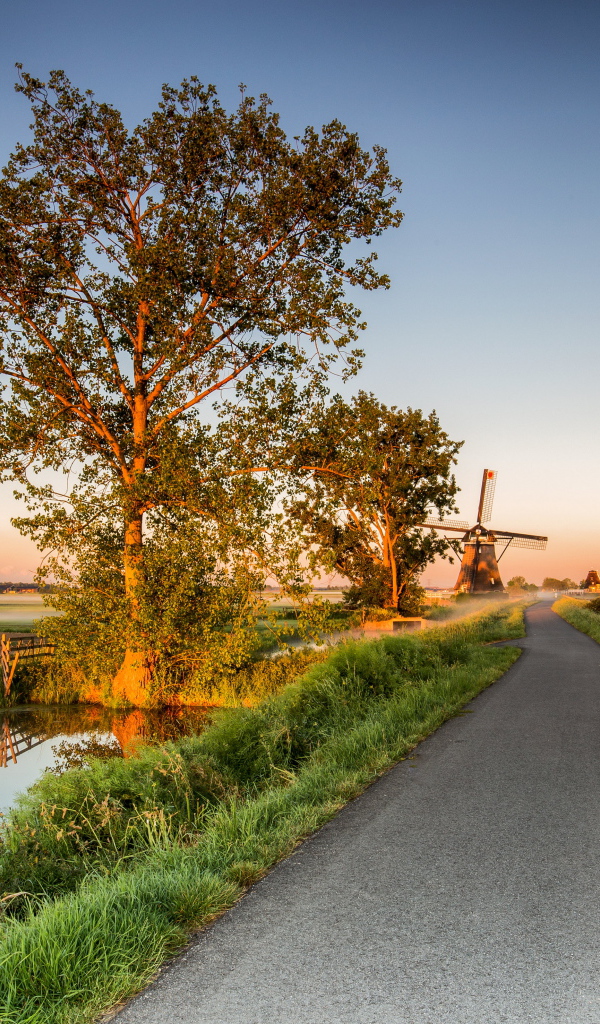 Поле и мельница у дороги на рассвете 