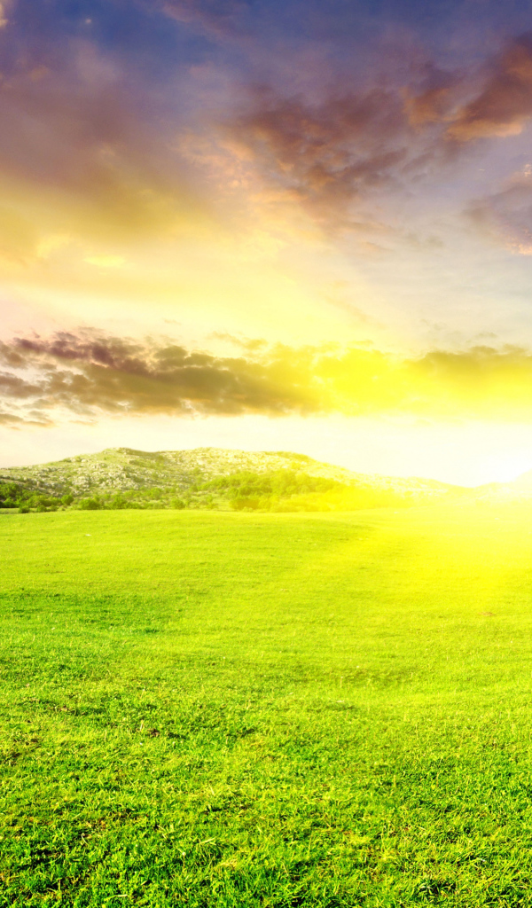 Восход солнца на зелеными полями 