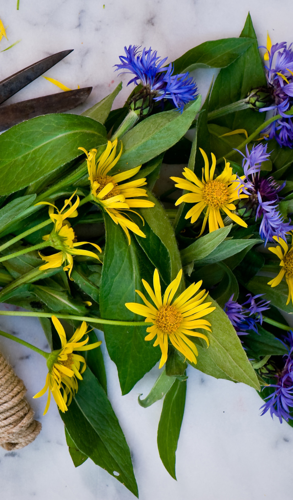 Букет васильков с желтыми цветами на столе с веревкой и ножницами