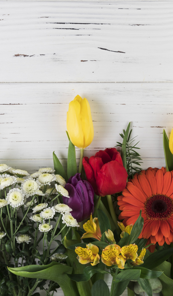 Цветы альстромерии, тюльпанов и георгин на белом фоне 