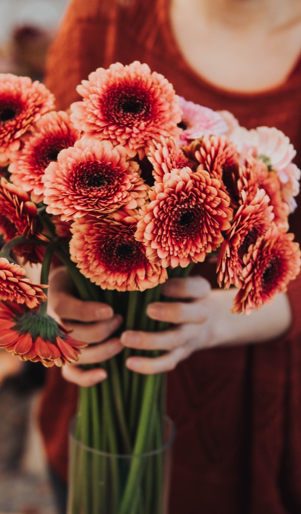 Красивый букет оранжевых гербер в руках у женщины 