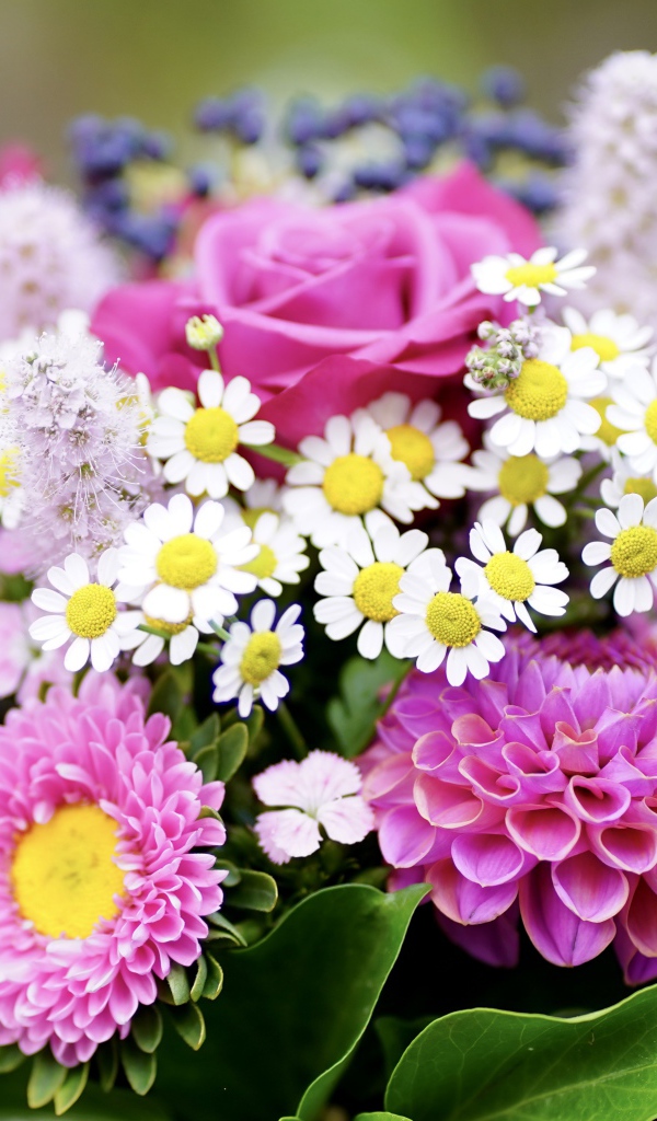 Красивый яркий разноцветный осенний букет