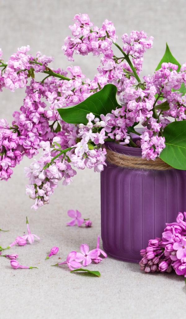 Красивая сирень в вазе на сером фоне