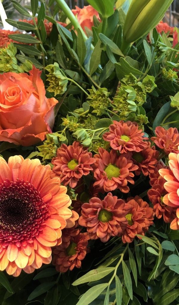 Красивые оранжевые герберы с цветами хризантемы