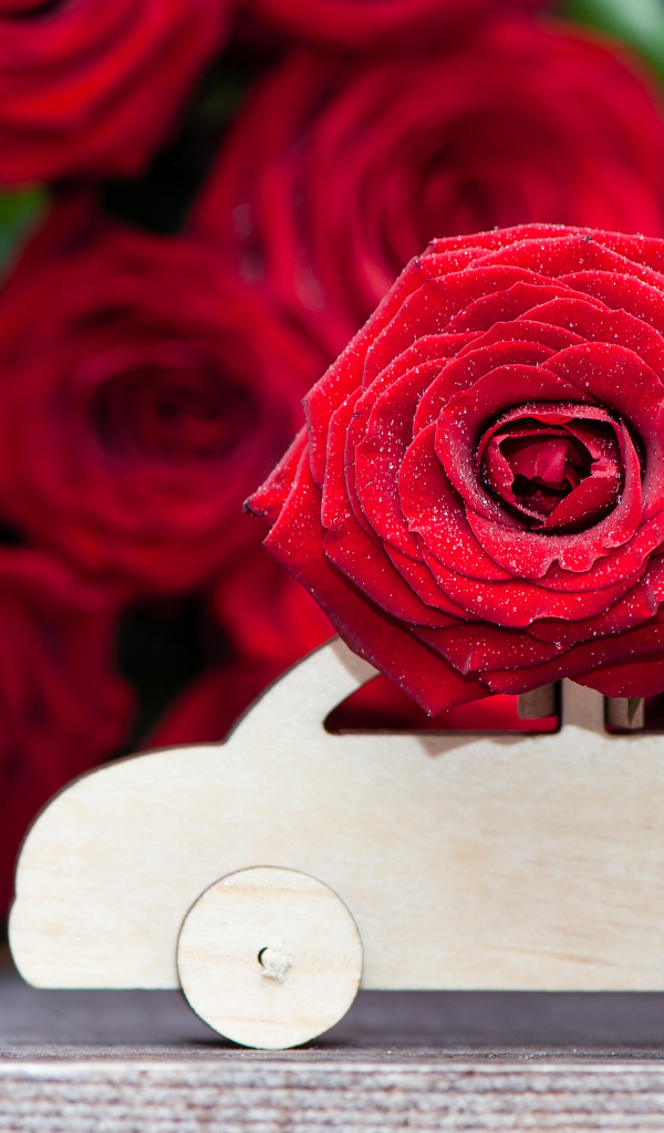 Красивая красная роза с деревянной машинкой 