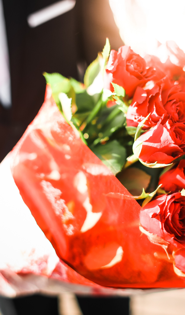 Большой красивый букет красных роз в руках мужчины 