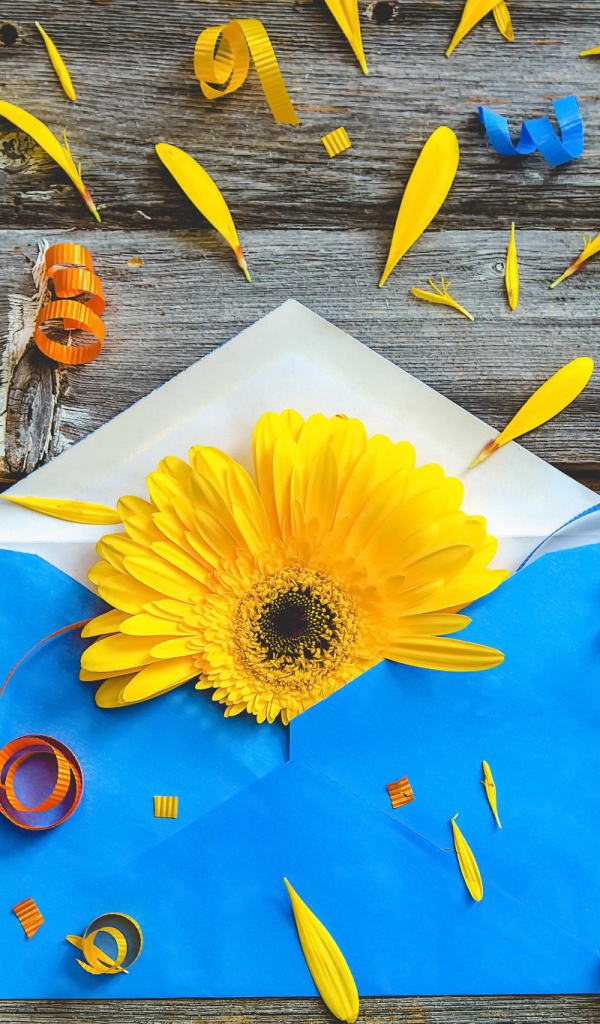 Синий конверт с желтым цветком гербер 