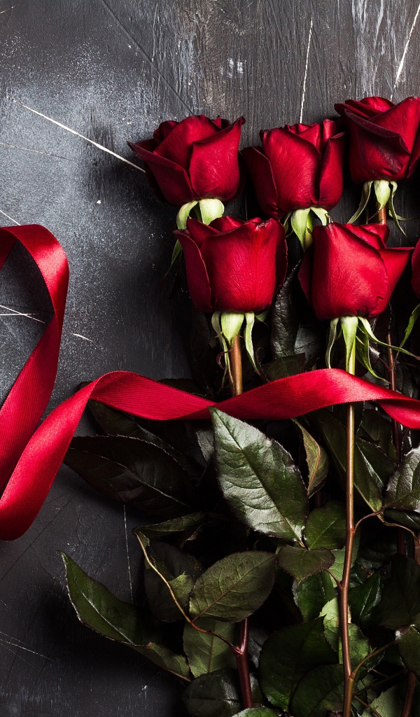 Букет красивых английских роз с красной лентой на сером фоне