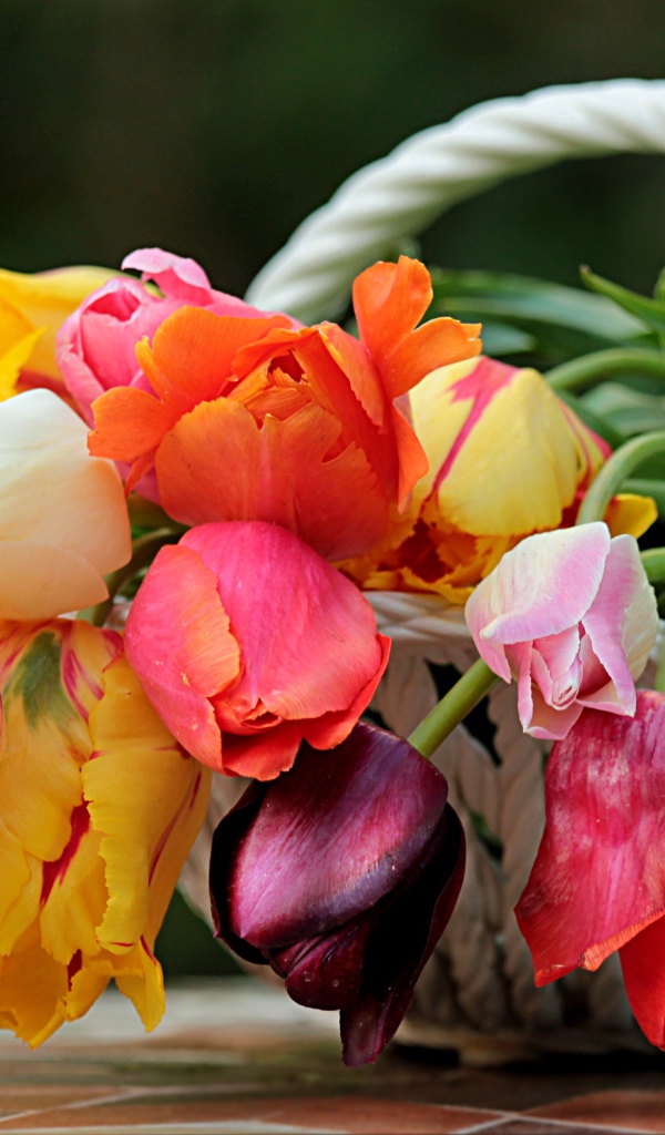 Букет красивых разноцветных тюльпанов в корзине 