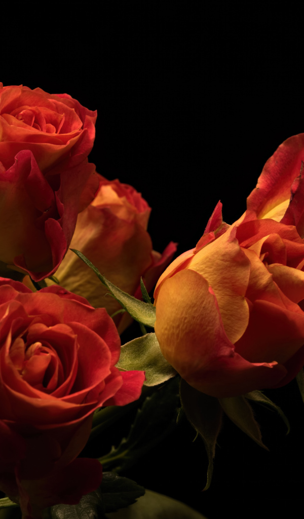 Букет красивых оранжевых роз на черном фоне