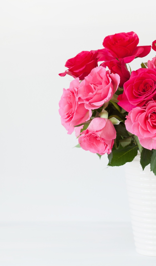 Букет красивых розовых роз в белой вазе на белом фоне