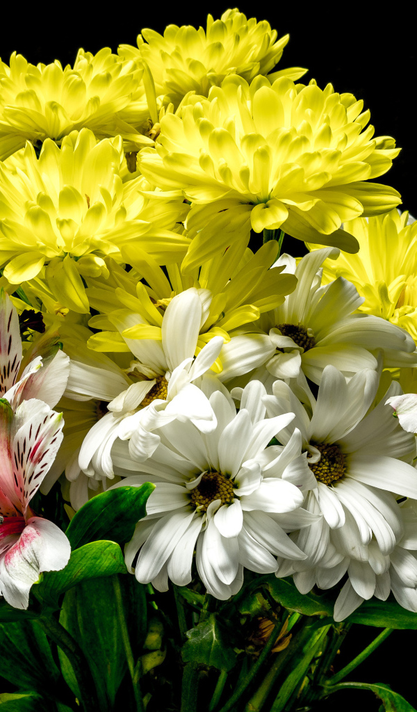 Букет из цветов хризантемы и альстромерии на черном фоне