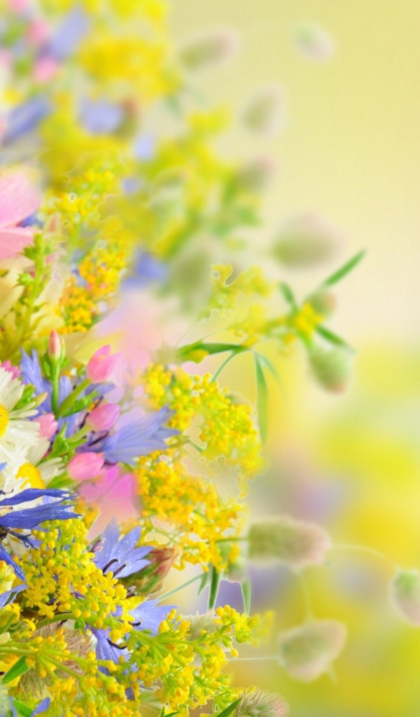 Букет разноцветных ярких летних цветов на размытом фоне