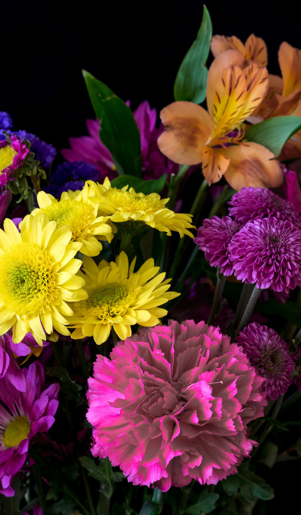Букет разноцветных цветов на черном фоне крупным планом