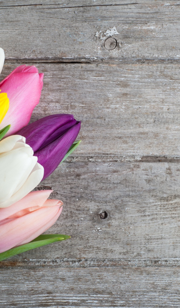 Букет разноцветных тюльпанов на деревянном столе