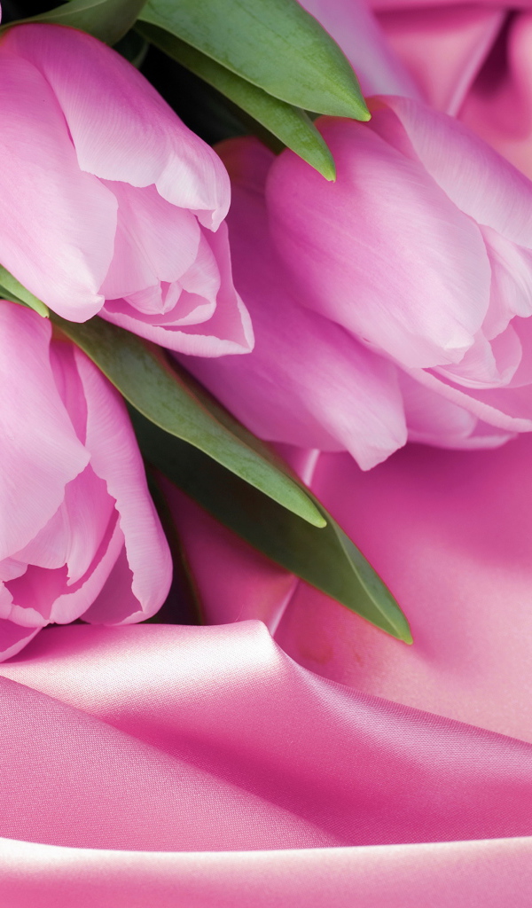 Букет нежных тюльпанов на розовой шелковой ткани 