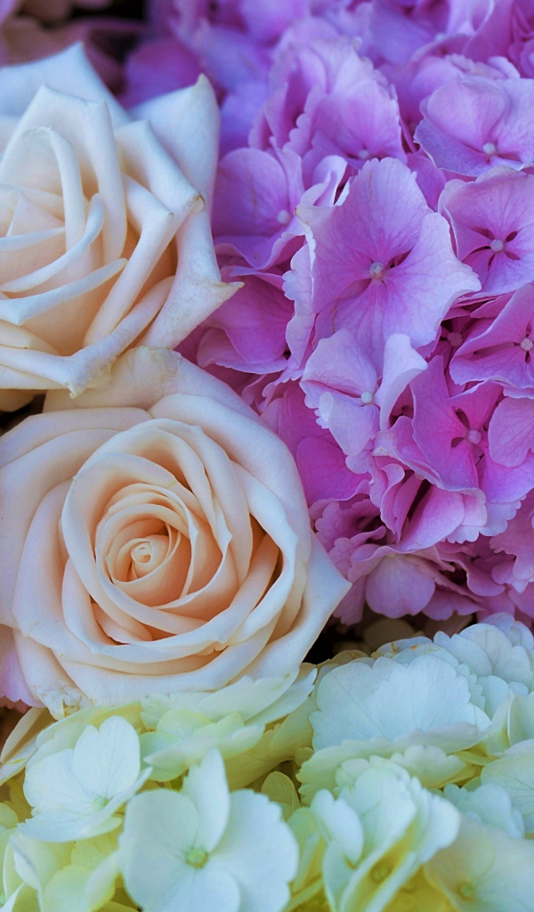 Букет из цветов гортензии и розы крупным планом