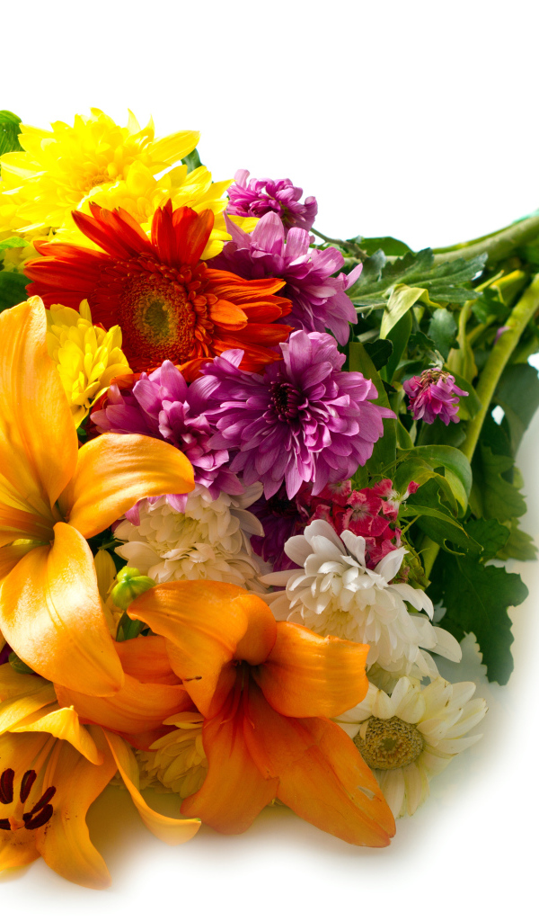 Букет из цветов лилии,герберы и хризантемы на белом фоне