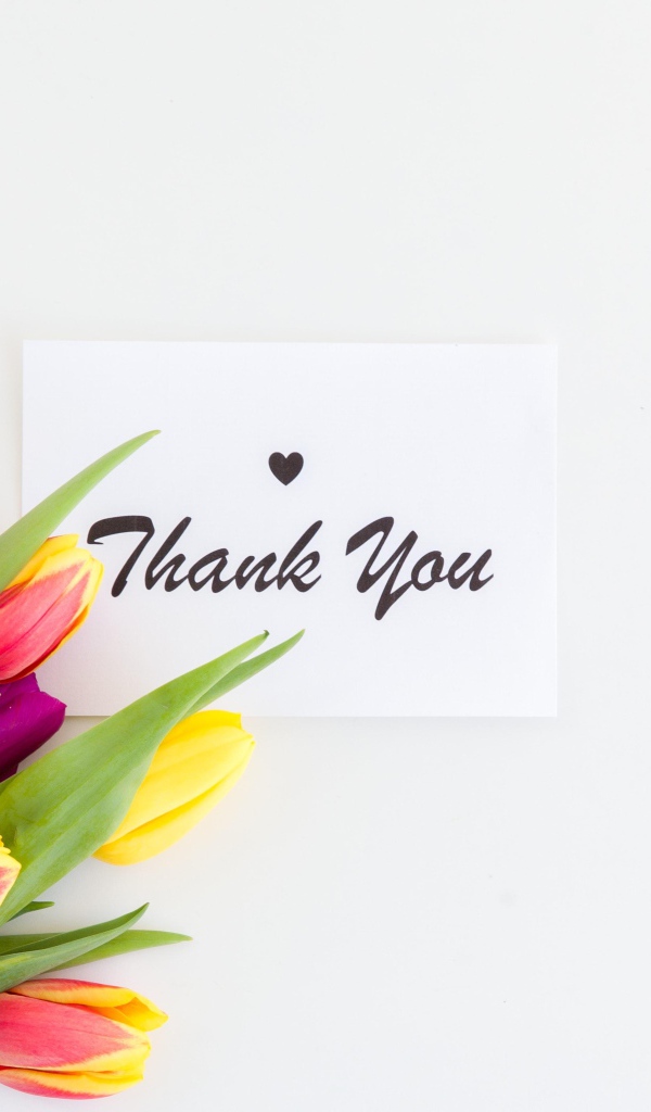 Букет разноцветных тюльпанов и надпись спасибо на белом фоне