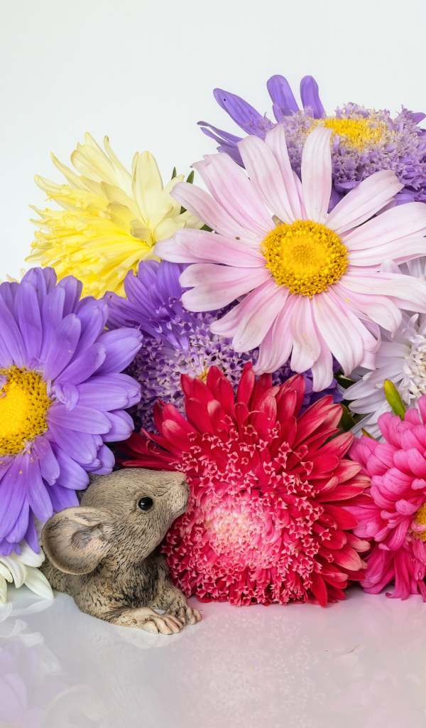Букет разноцветных цветов астры с фигурками мышей