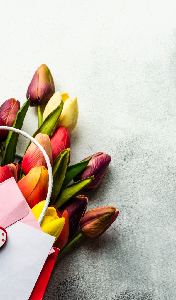 Букет разноцветных тюльпанов с письмом на сером фоне