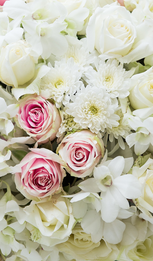 Букет розовых и белых роз с цветами хризантемы