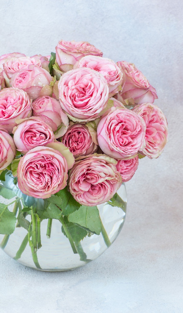 Букет розовых парковых роз в стеклянной вазе