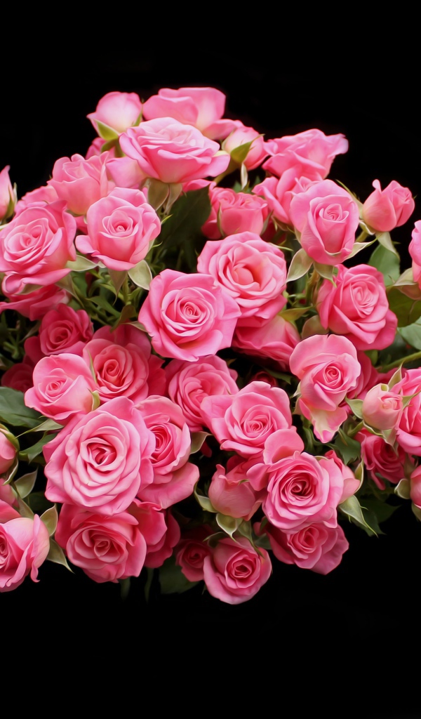 Букет розовых роз на черном фоне
