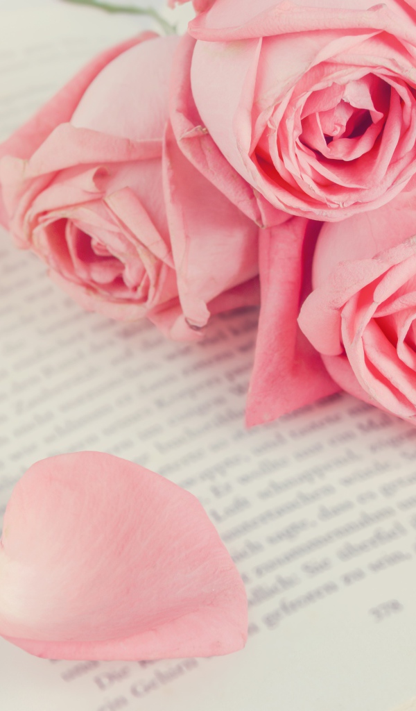 Букет розовых роз на книге