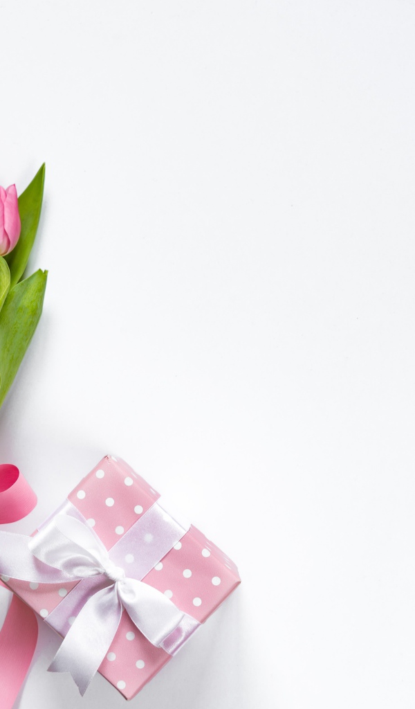 Букет розовых тюльпанов с бантом на белом фоне с подарком
