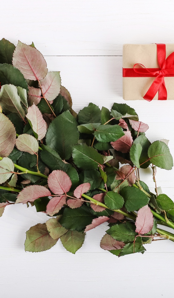 Букет колючих красных роз с подарком на белом фоне