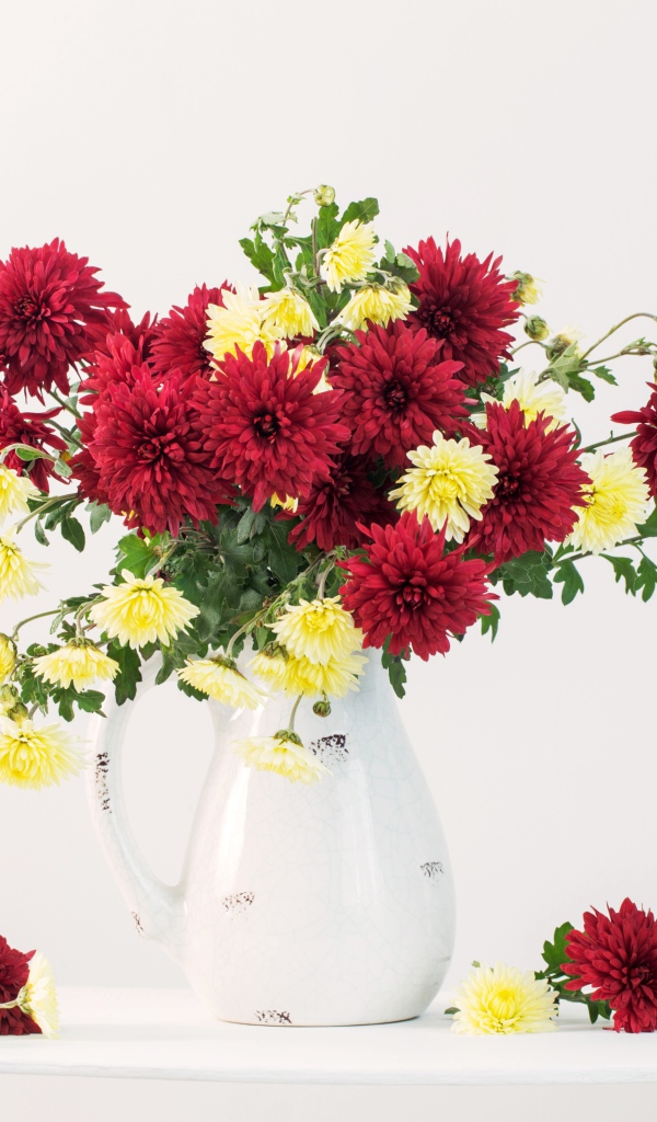 Букет красных и желтых хризантем в вазе на белом фоне