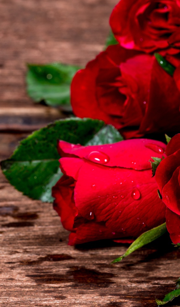 Букет красных роз на деревянном столе в каплях воды