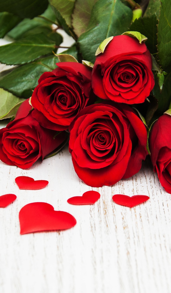 Букет красных роз с зелеными листьями на белом фоне с сердечками 
