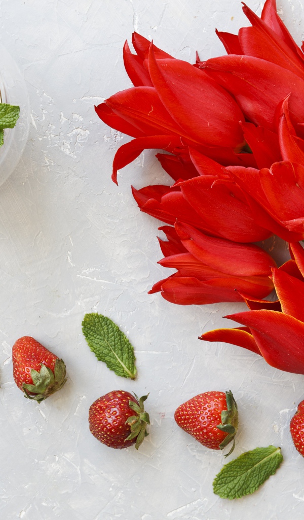 Букет красных тюльпанов с ягодами клубники 