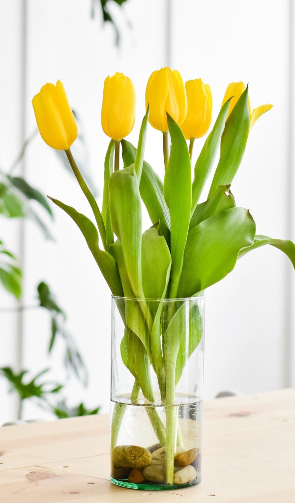 Букет желтых тюльпанов в стеклянной вазе на столе 