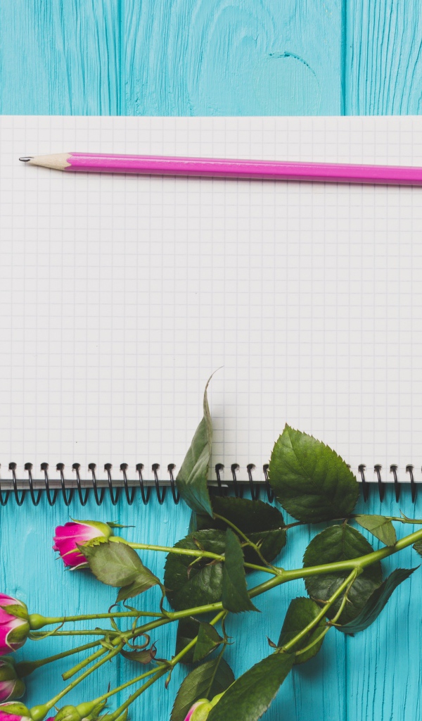 Ветка с розами на голубом фоне с блокнотом и карандашом