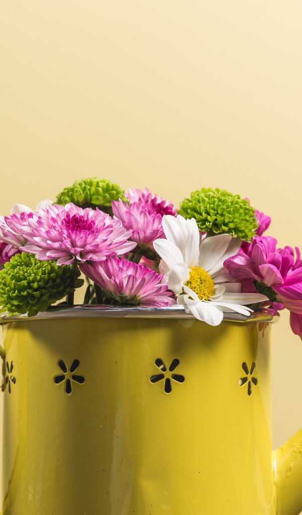 Букет хризантем в желтой лейке 